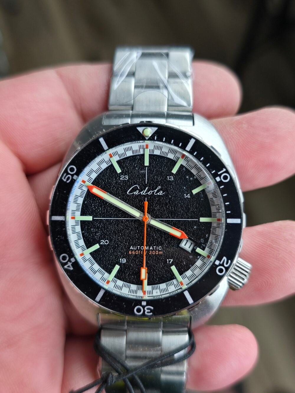Brand new Cadola Intrepid Limited Edition Mens textured dial automatic watch